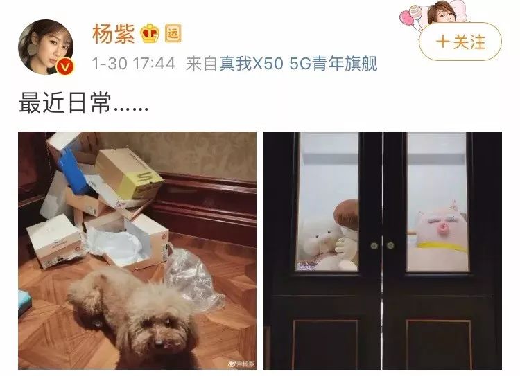 没剧没曝光流量明星都在干嘛？肖战邓伦忙着录ID，杨紫最接地气