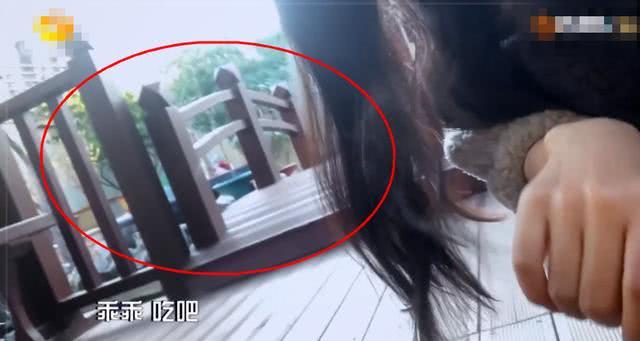 倪妮素颜照与化妆判若两人，住宅自带庭院很奢华，环境却挺乱