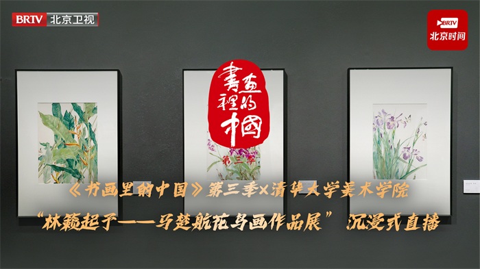 灿星娱乐