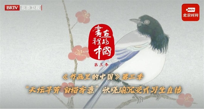 灿星娱乐